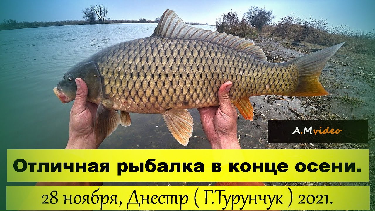 Отличная рыбалка в конце осени, 28 ноября,  Маяки - Днестр ( Г.Турунчук ) 2021.