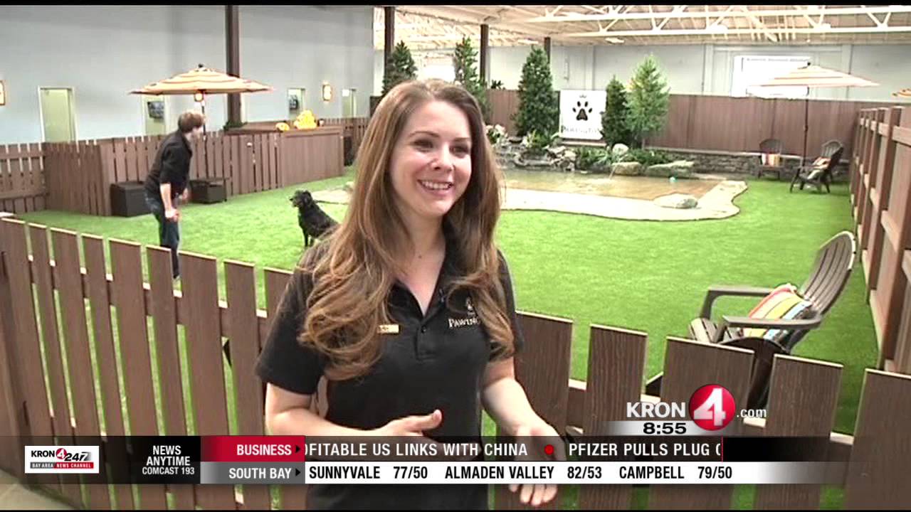 Bay Area Getaways: Pawington Pet Resort