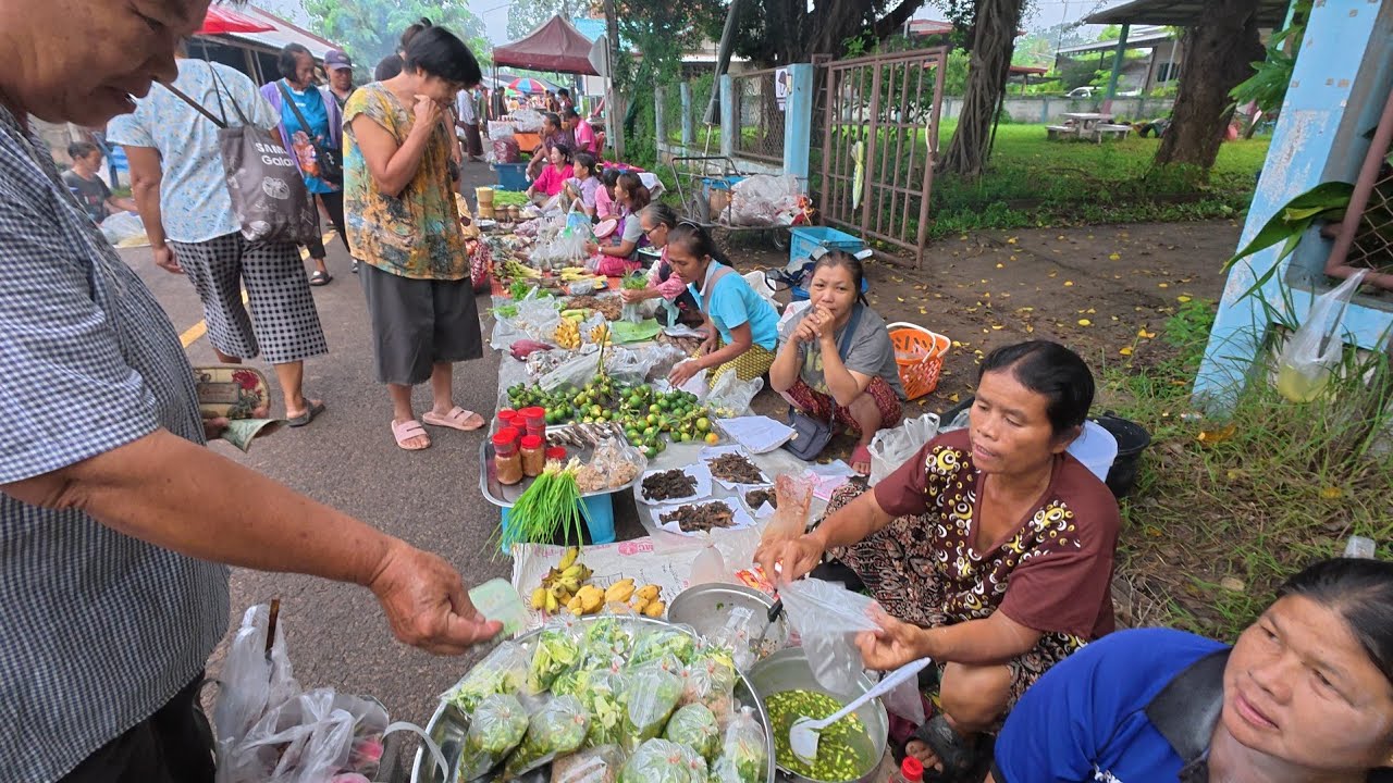 #food อาหารป่า ขายดี‼️ใกล้ฮอดมื้อบุญข้าวสาก | ตลาดบ้านคำสมิง ตำบลเกษม อ.ตระการพืชผล อุบลราชธานี