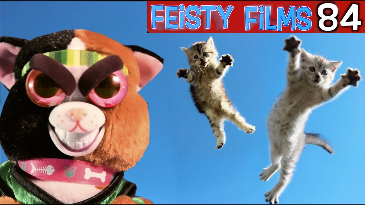 Kitty Fitness Challenge! Feisty Films Ep. 84
