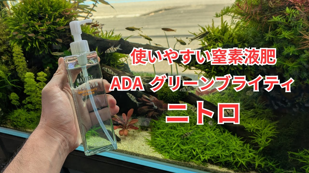 【おすすめの窒素液肥】ADAグリーンブライティ・ニトロをご紹介！