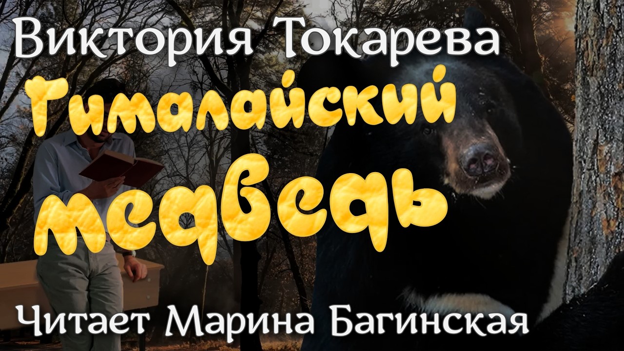 Аудиокнига Виктория Токарева рассказ 