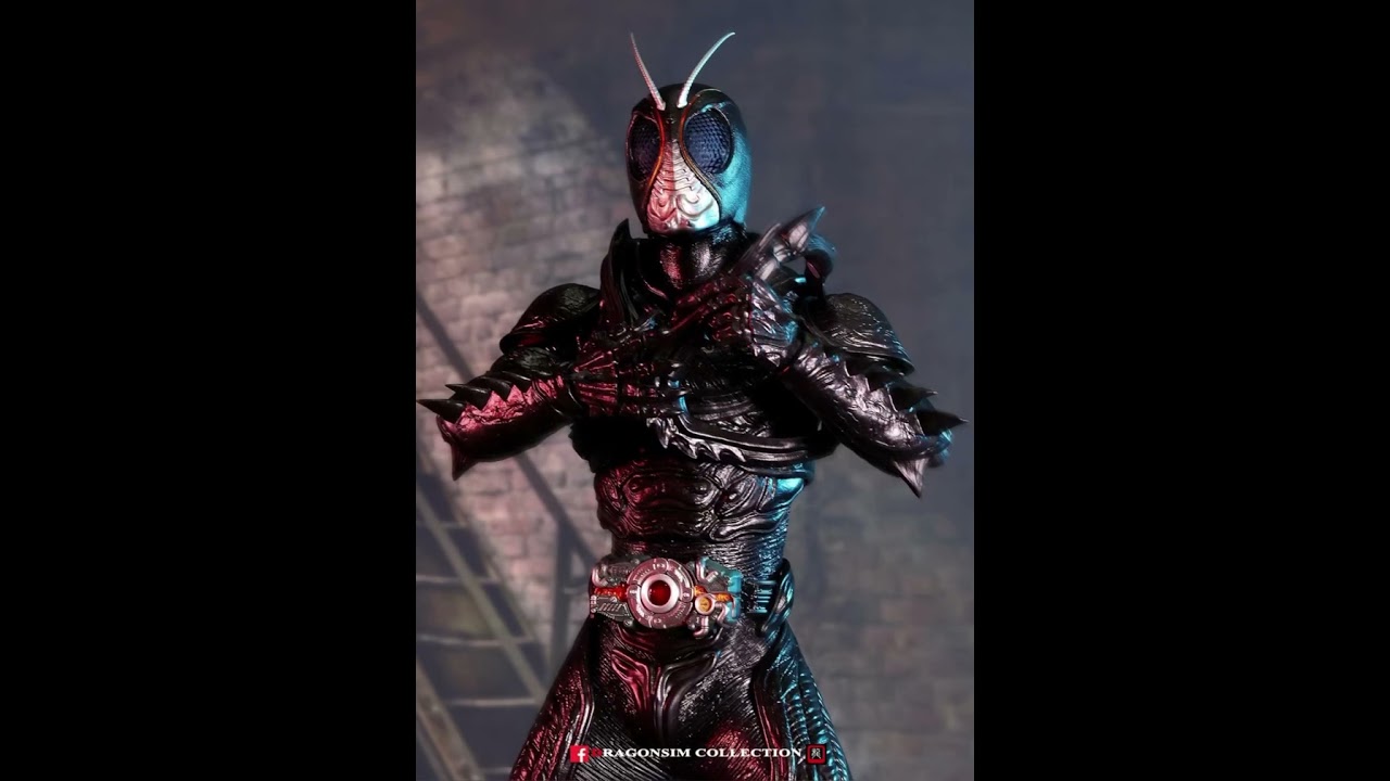 Hot Toys Kamen Rider Black Sun & Shadow Moon 1/6 Scale Action Figures (Special Version)