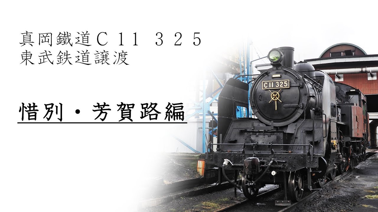 【2019】蒸気機関車 真岡鐵道 C11 325 廃止譲渡