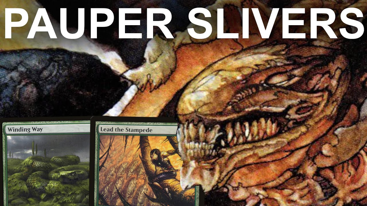 BIG MUSCLES, BIG BEATS! Pauper 5-Color Aggro Slivers. Budget MTG