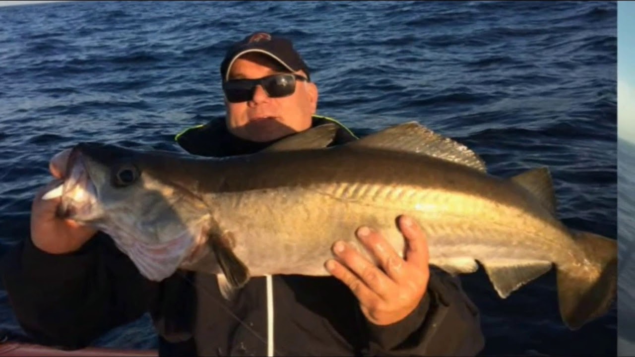 Peche de gros lieus et bars à Ouessant ! Team Delalande