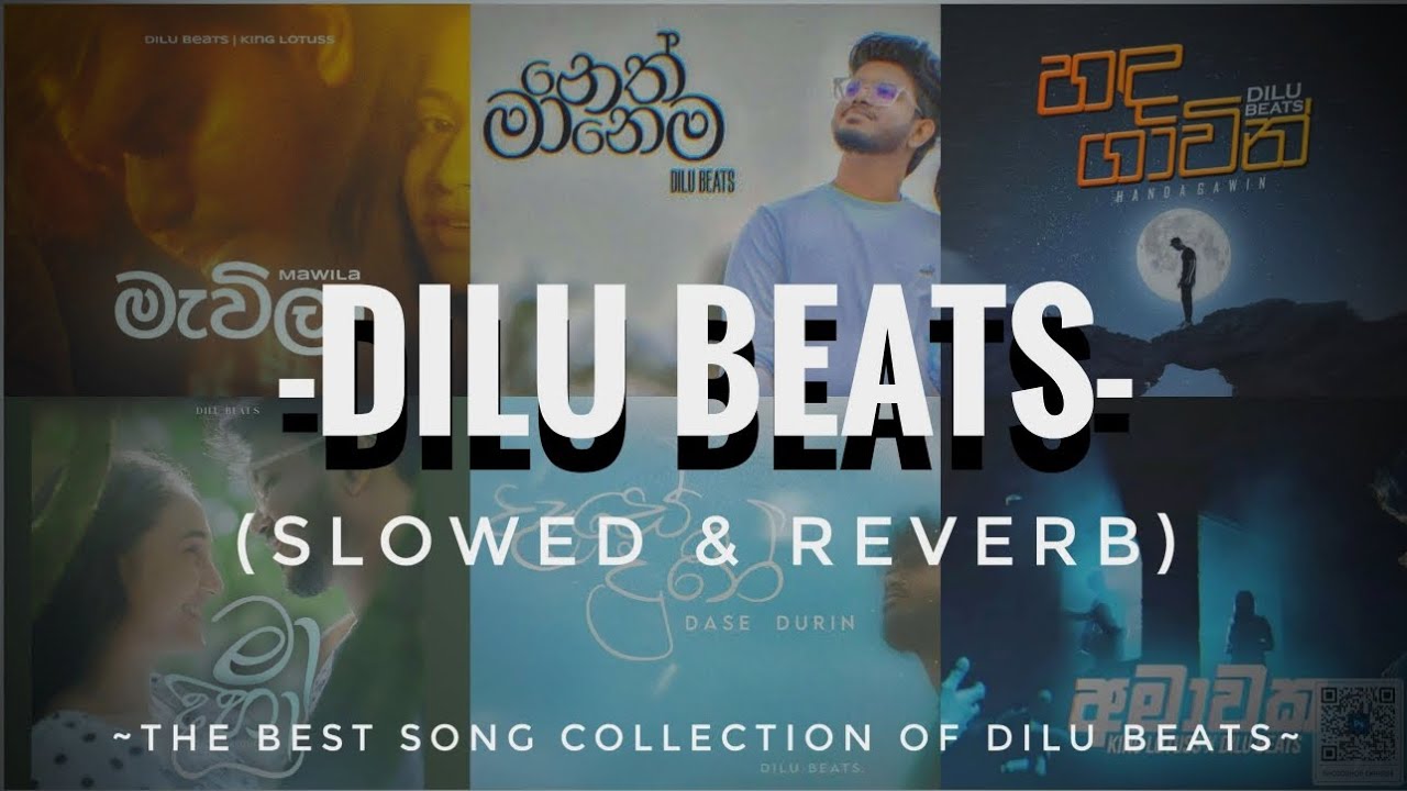 |~DILU BEATS ~| slowed & reverb |song collection | #Dilu beats || තනියම ඉන්න වෙලාවට අහන්න /මනෝපාරකට/