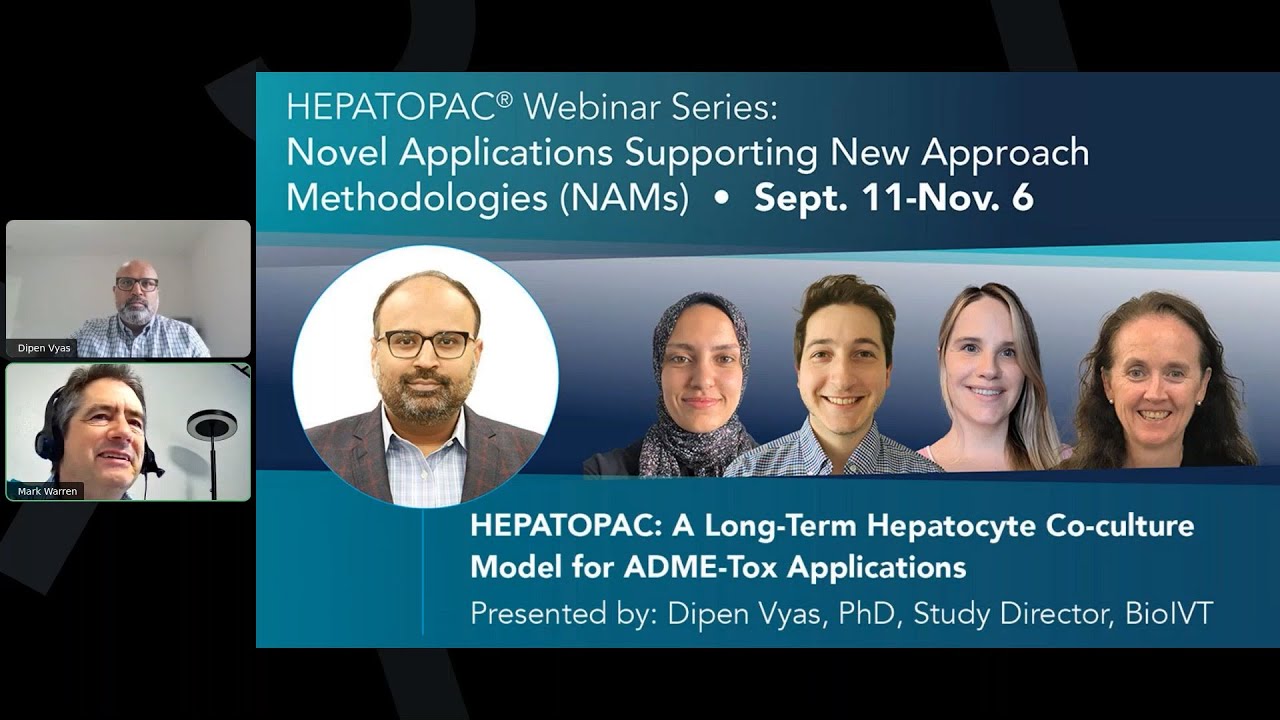 HEPATOPAC: A Long-Term Hepatocyte Co Culture Model for ADME Tox Applications