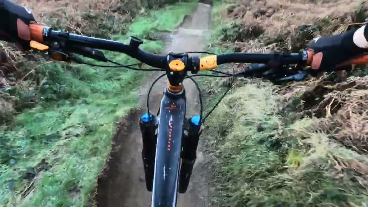 Bike Park Wales / Surfin Bird into Zurich Alors / Broken Shock At The End