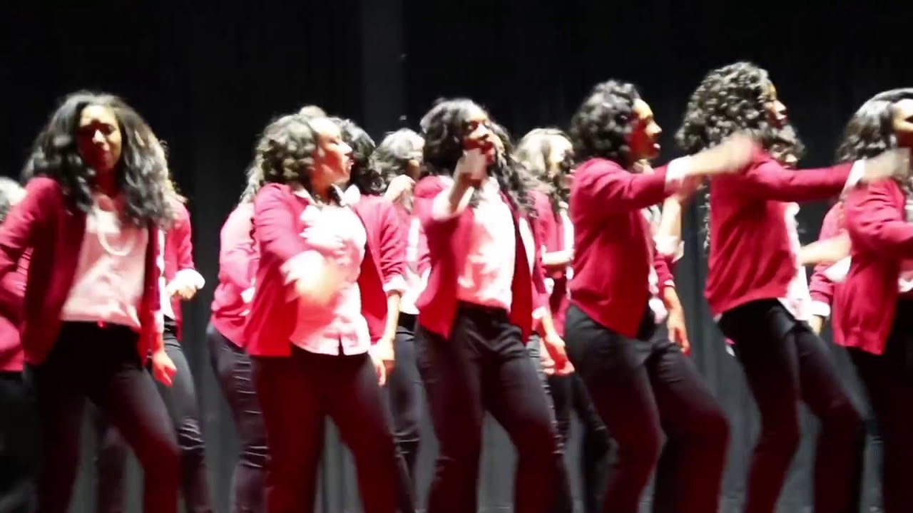 Delta Sigma Theta Probate - Lambda Upsilon - Fall 2015