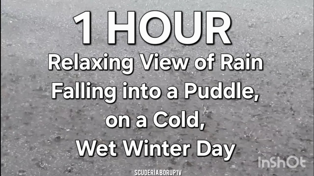 1 HOUR | Relaxing View of Rain Falling into a Puddle, on a Cold, Wet Winter Day |