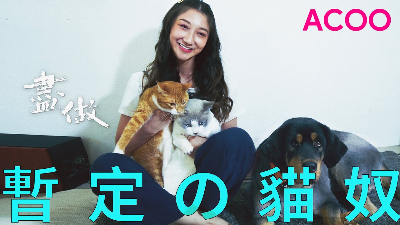 動物義工與死神搶仔　暫託流浪貓狗覓領養家庭　模特兒張丹蕾：「幫浪浪要先學識放手」｜盡做｜ACOO