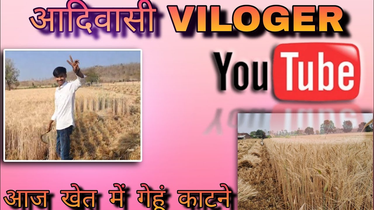 #aadiwasi शहर से गांव आने पर खेत में ड्यूटी पर 🥵🌾#देखिए पूरा VILOG दोस्तों 🌾 सपोर्ट करो 
