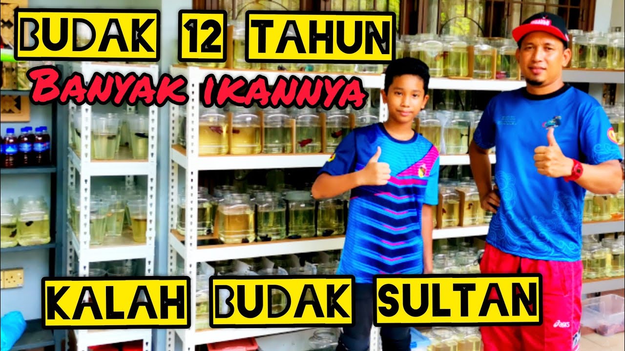 Breeder umur 12 Tahun//Ahmad Firas Tangan Ajaib.