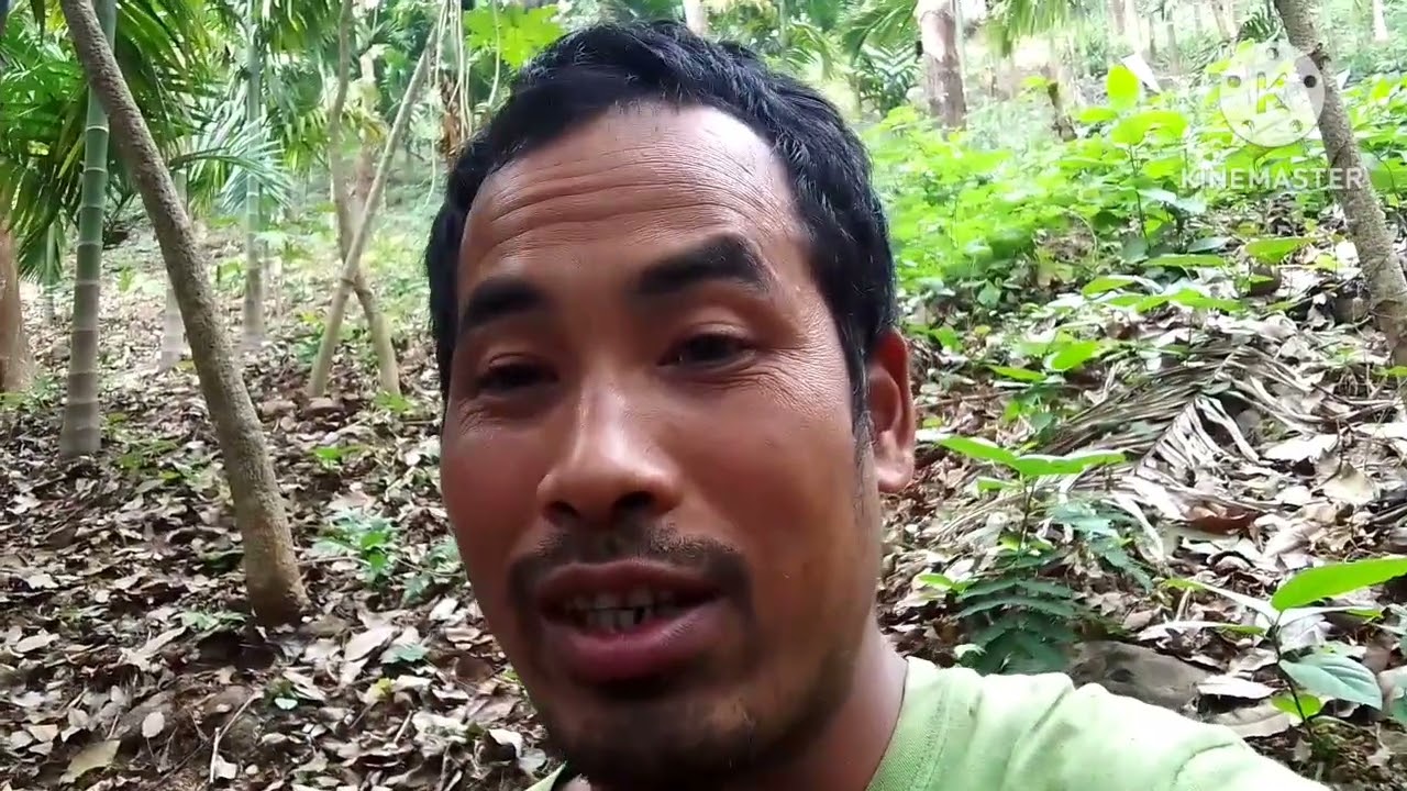 Daalde gasugipa video ko rabataijok