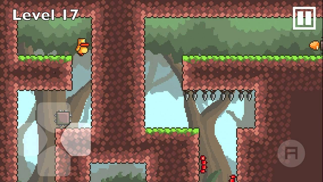 Gravity Duck 