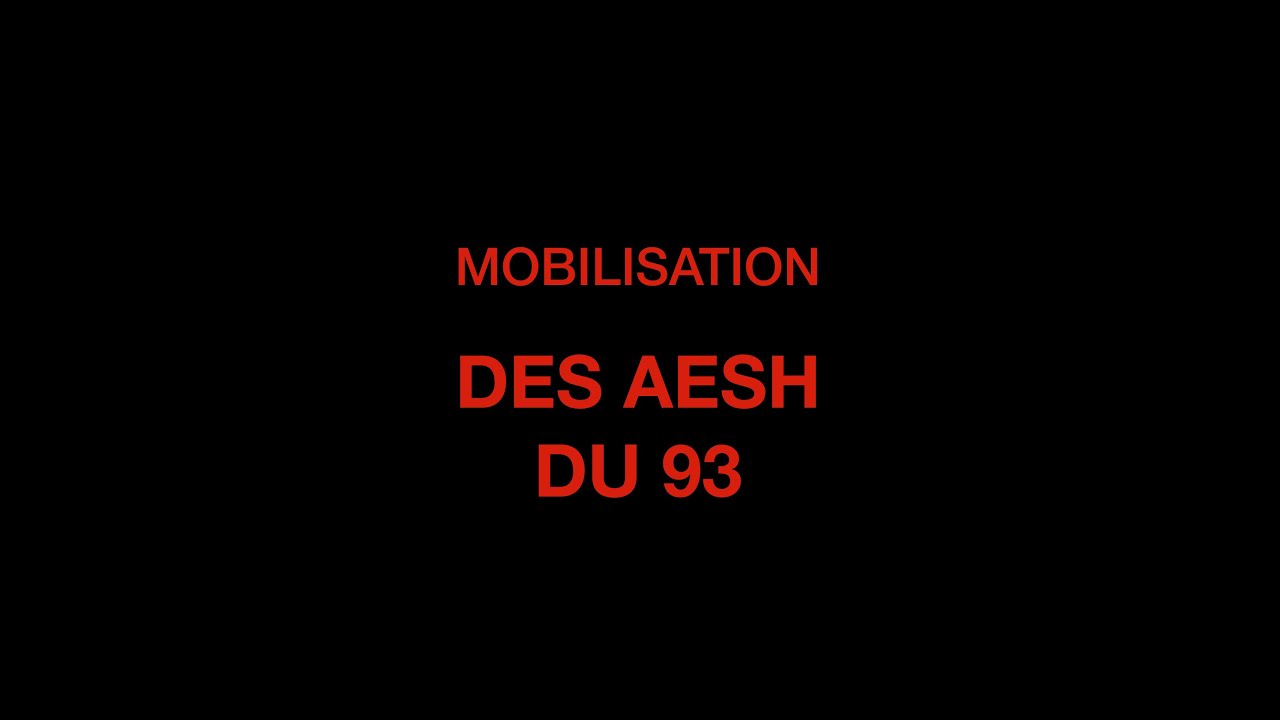 Appel &agrave; la mobilisation des AESH du 93