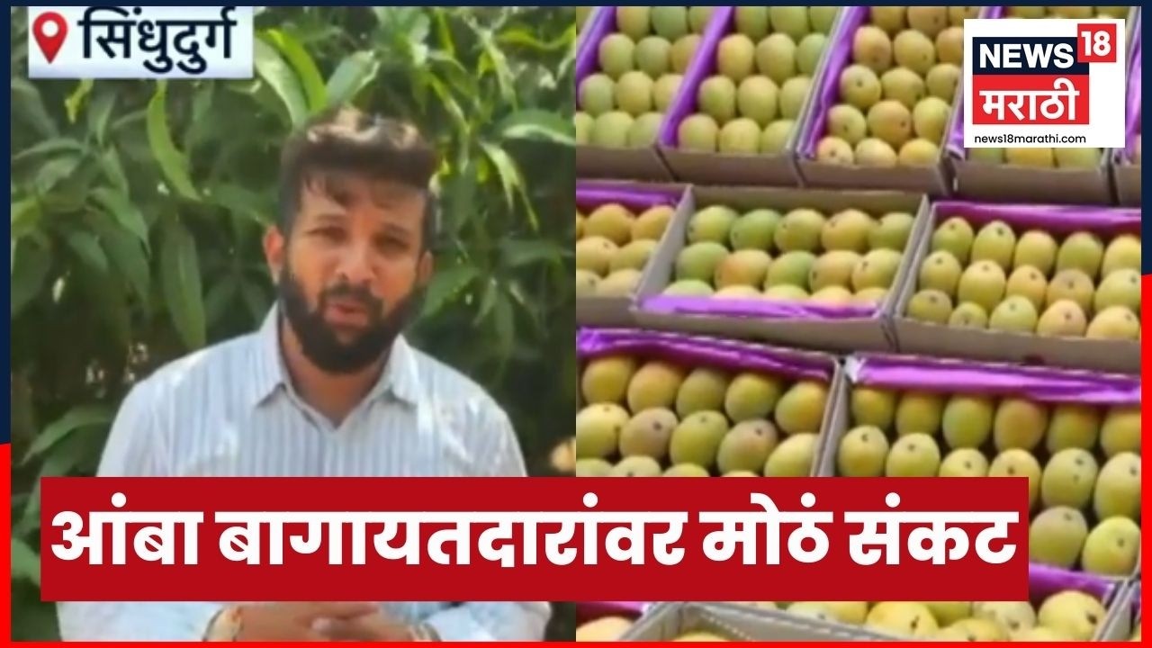 Konkan News | कोकणातील आंबा बागायतदारांवर यंदा मोठं संकट | Marathi News