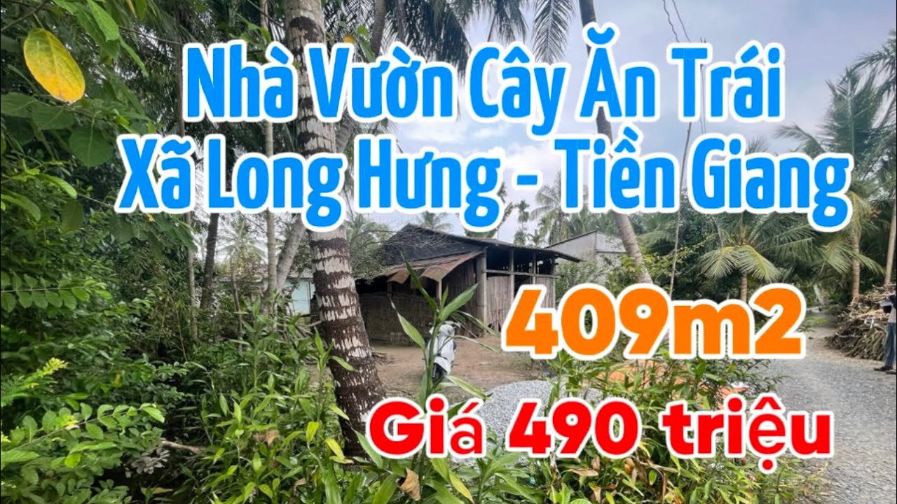 T447🌺 Thật đau xót khi cô chú, phải bán đi căn nhà hương quả ông bà để lại ở long hưng - đồng tháp 