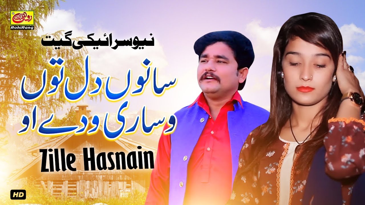 Sanu Dil Ton Visari Wade O | Zille Hasnain | New Saraiki Song 2022