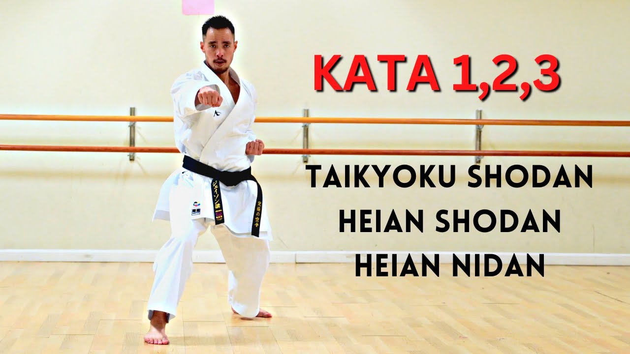 FIRST 3 SHOTOKAN KARATE KATA (REAR VIEW)