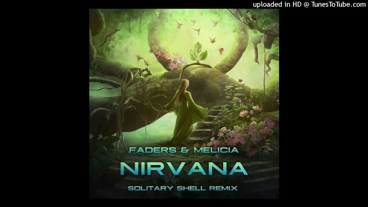 Faders & Melicia - Nirvana (Solitary Shell Remix)