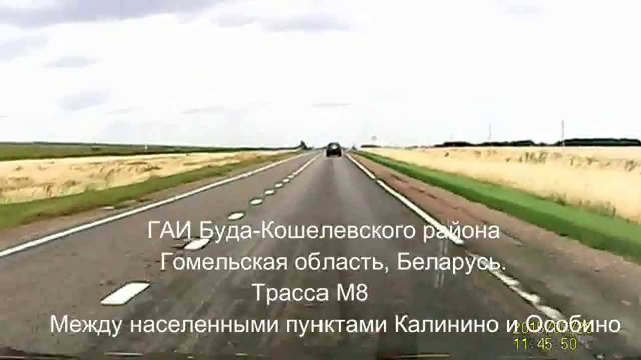 ГАИ Буда-Кошелевского района бьет рекорды.