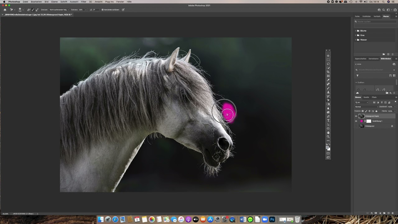 Photoshop-Quicktutorial: Freistellen von Mähne, Fell u. Tastenhaaren. Super schnell und zuverlässig!