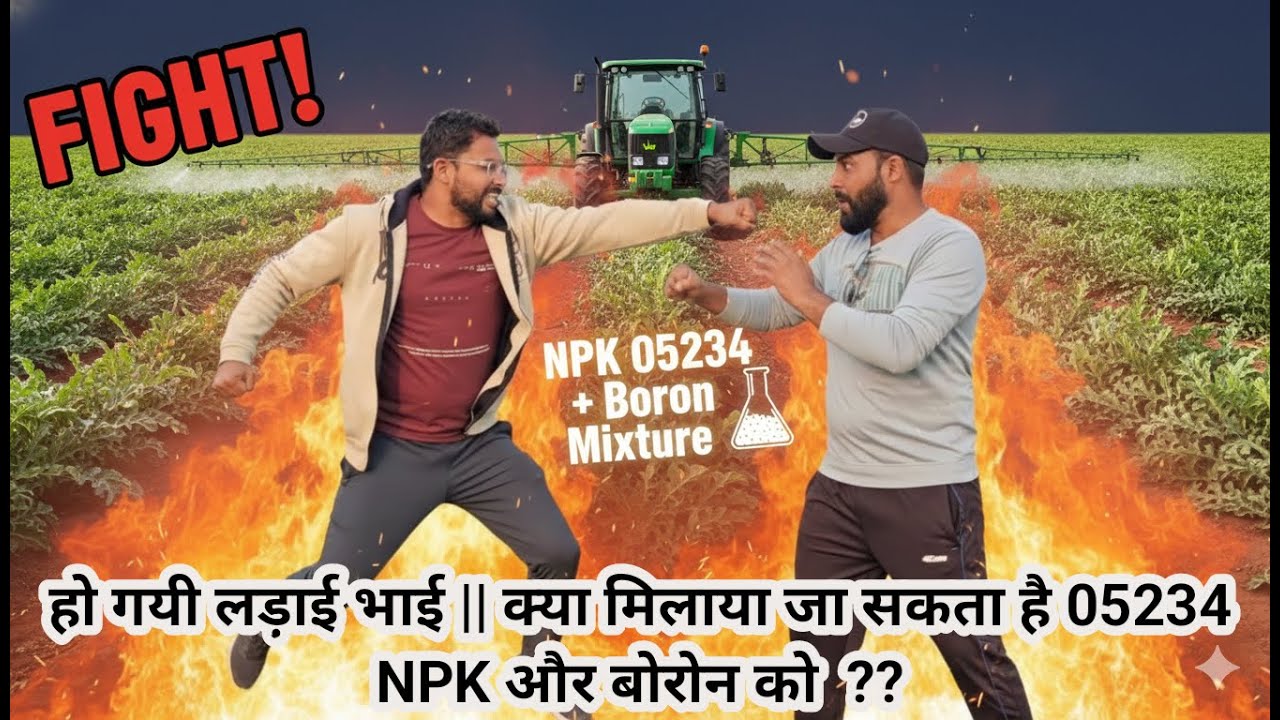 NPK 05234 + Boron mixture compatibility | क्या npk 5234 और बोरोन को मिलाया जा सकता है #npk #boron