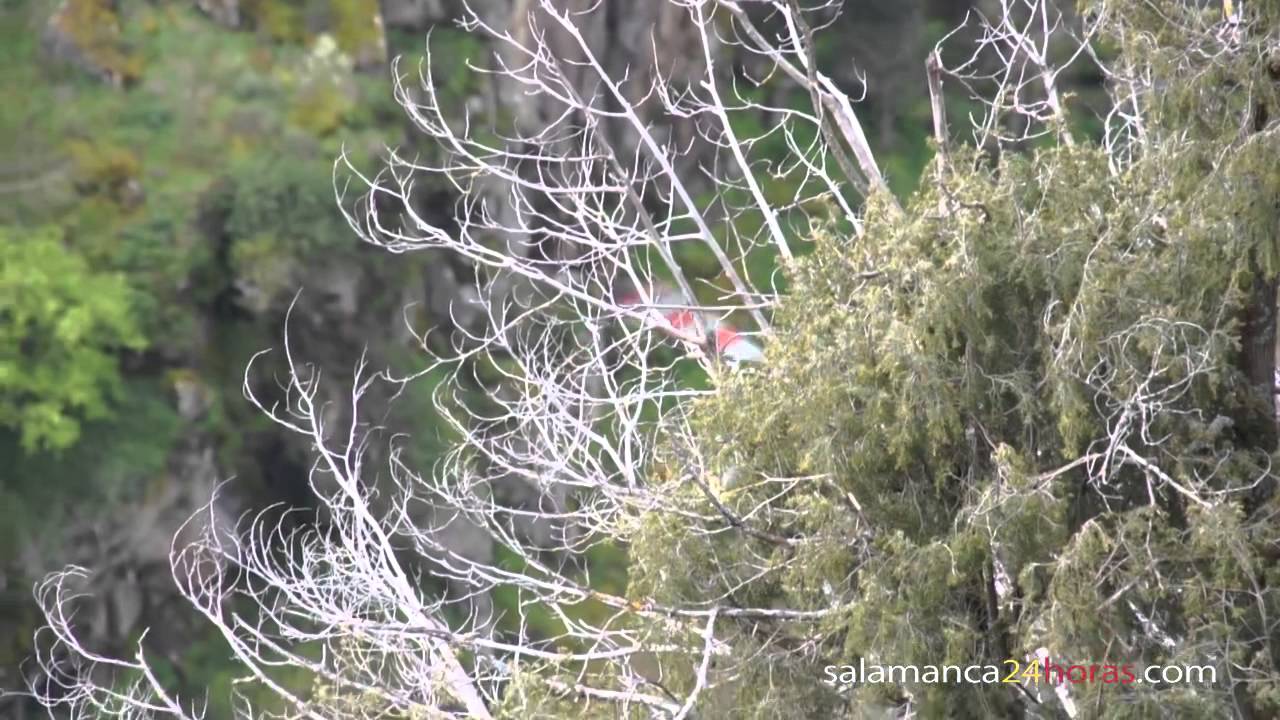 Quinto día de rescate en Pozo de Los Humos