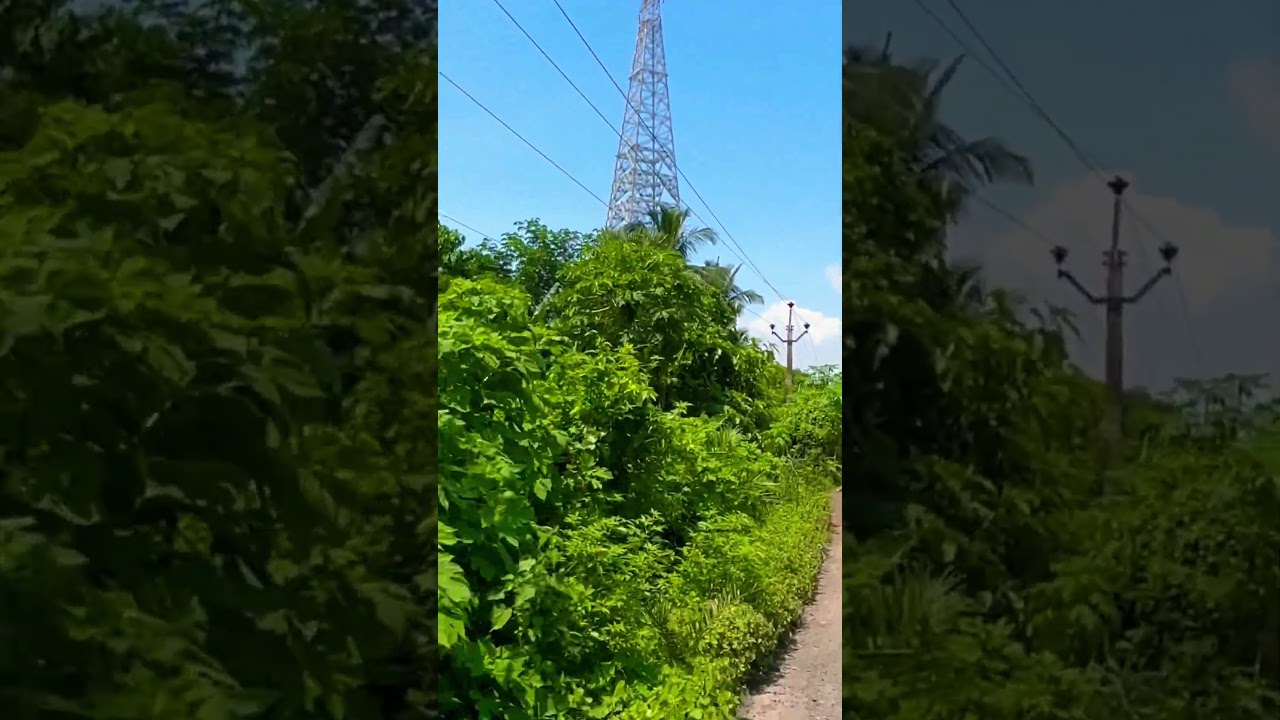 World second biggest tower in Kukrahati natpatiya #biggesttower #beautifulnature #naturelovers