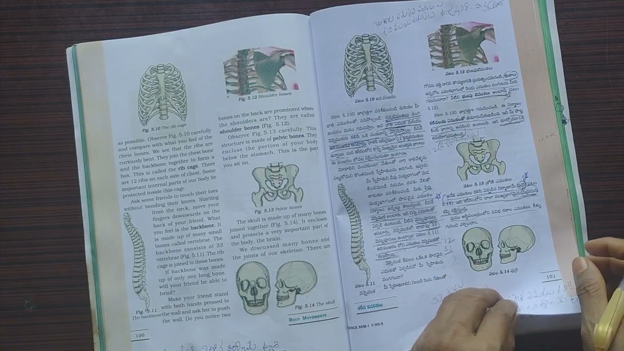 Ap Dsc & Tet # 6th class science # శరీర కదలికలు # Academy books # Important points 