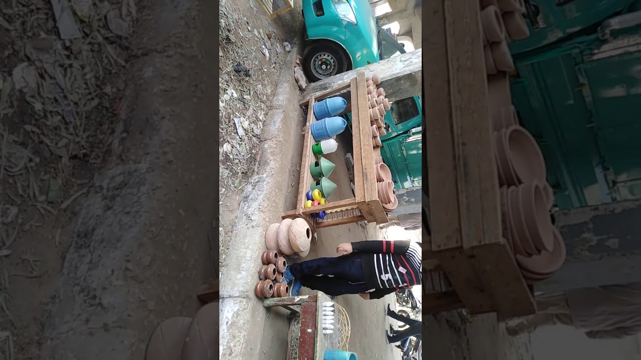سوق جمعه في المنيا للحيوانات الاليفه
