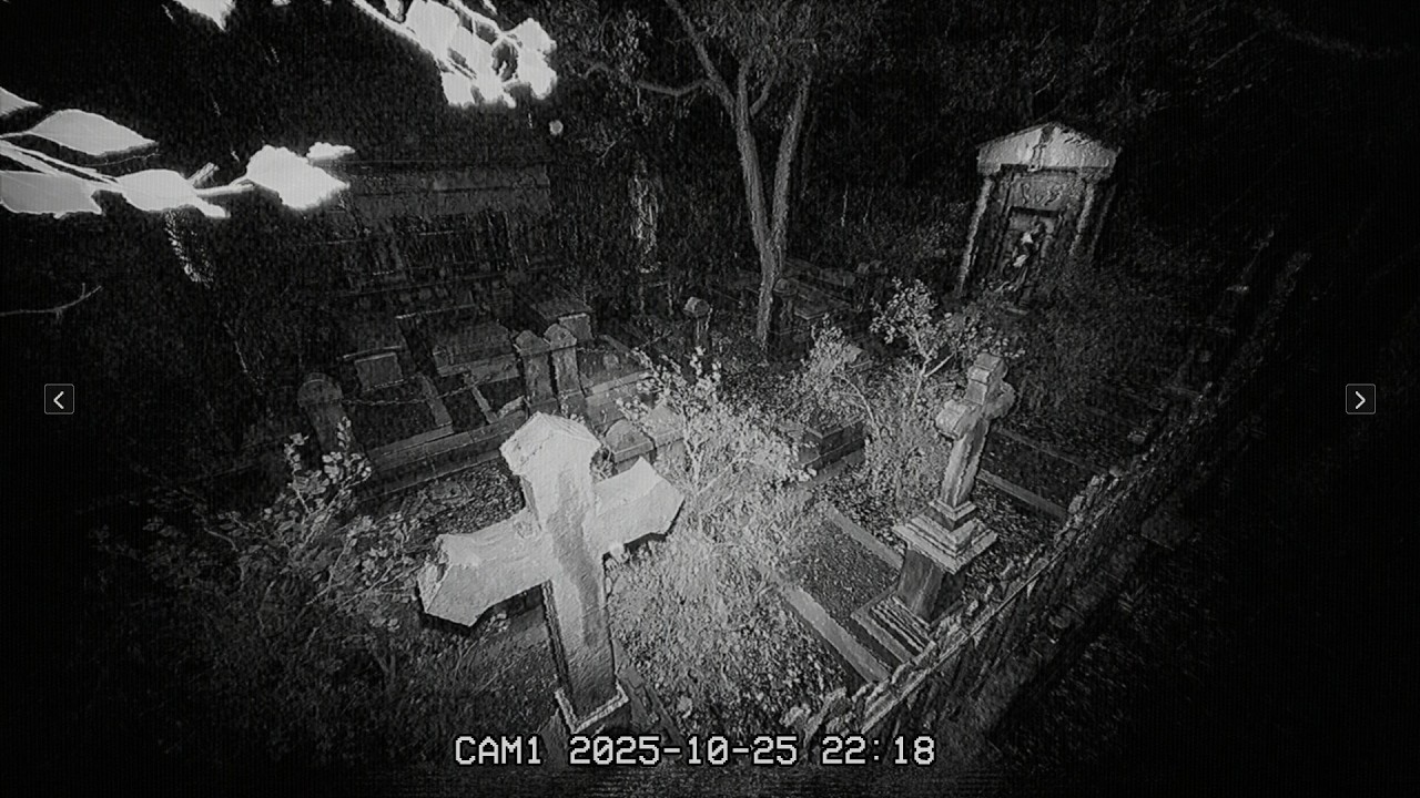 AKU BEKERJA DI SEBUAH KUBURAN TUA TAPI HAL MENGERIKAN TERJADI! The Cemetery Shift | 墓地の夜勤
