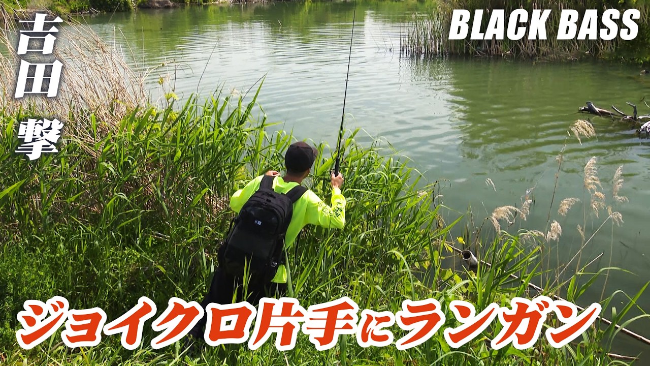 スポーニング真っ盛り！紀ノ川でグランデバスを狙う！ 1/2 『ランガンパニック 46』＜フルver＞【釣りビジョン】