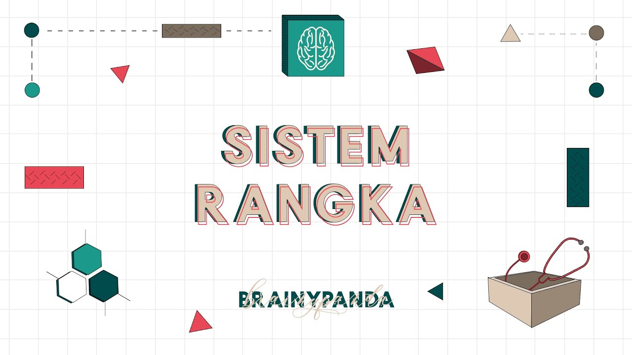 Sistem Rangka Manusia | Ilmu Biomedik Dasar | Brainy Panda