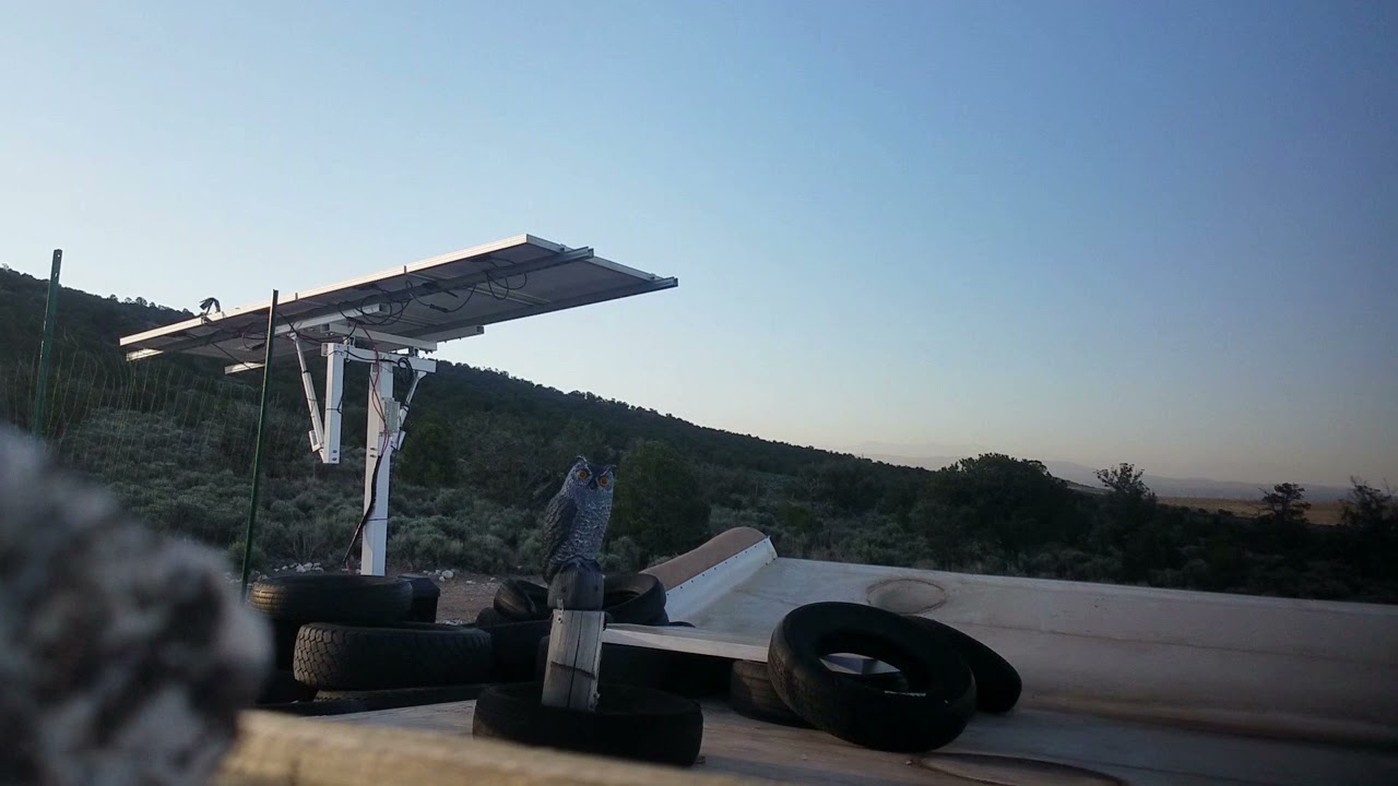 Watching The Sun Rise With The New ECO-Worthy Solar Tracker