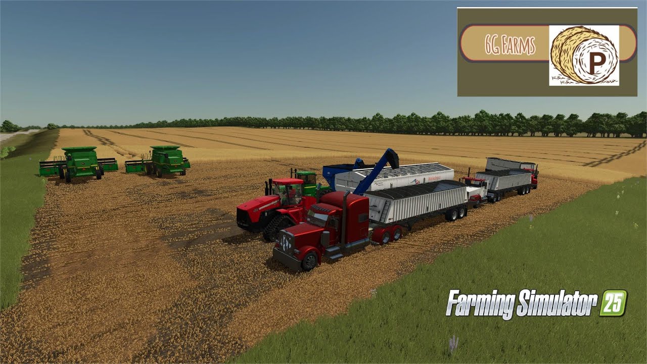Our biggest job Custom Combining yet!! PT1 FS25