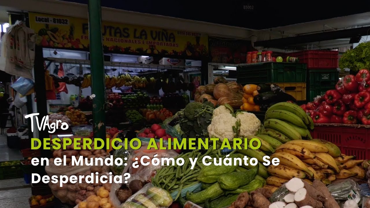 Desperdicio Alimentario en el Mundo: ¿Cómo y Cuánto Se Desperdicia? - TvAgro por Juan Gonzalo Angel