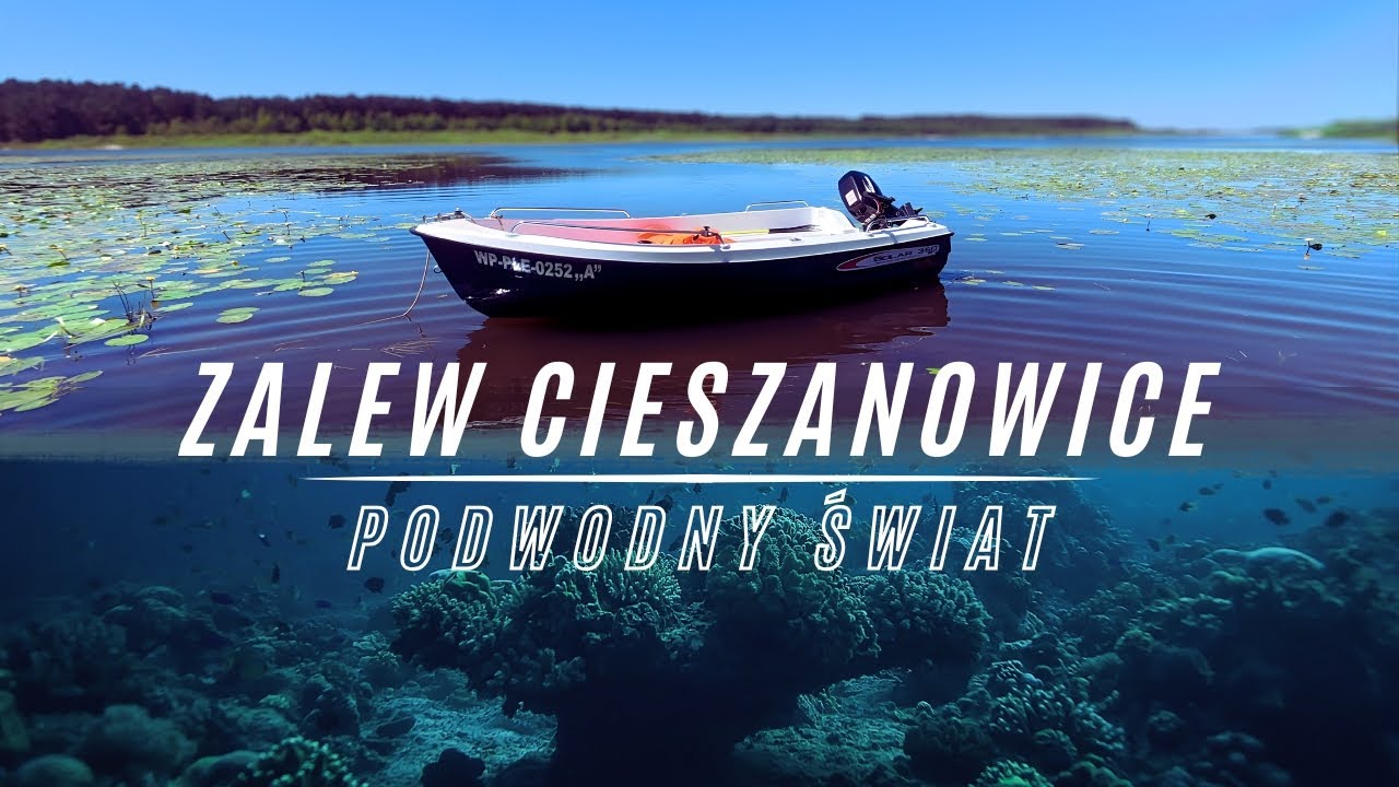 Podwodny świat Zalew Cieszanowice , sumiki karłowate itp