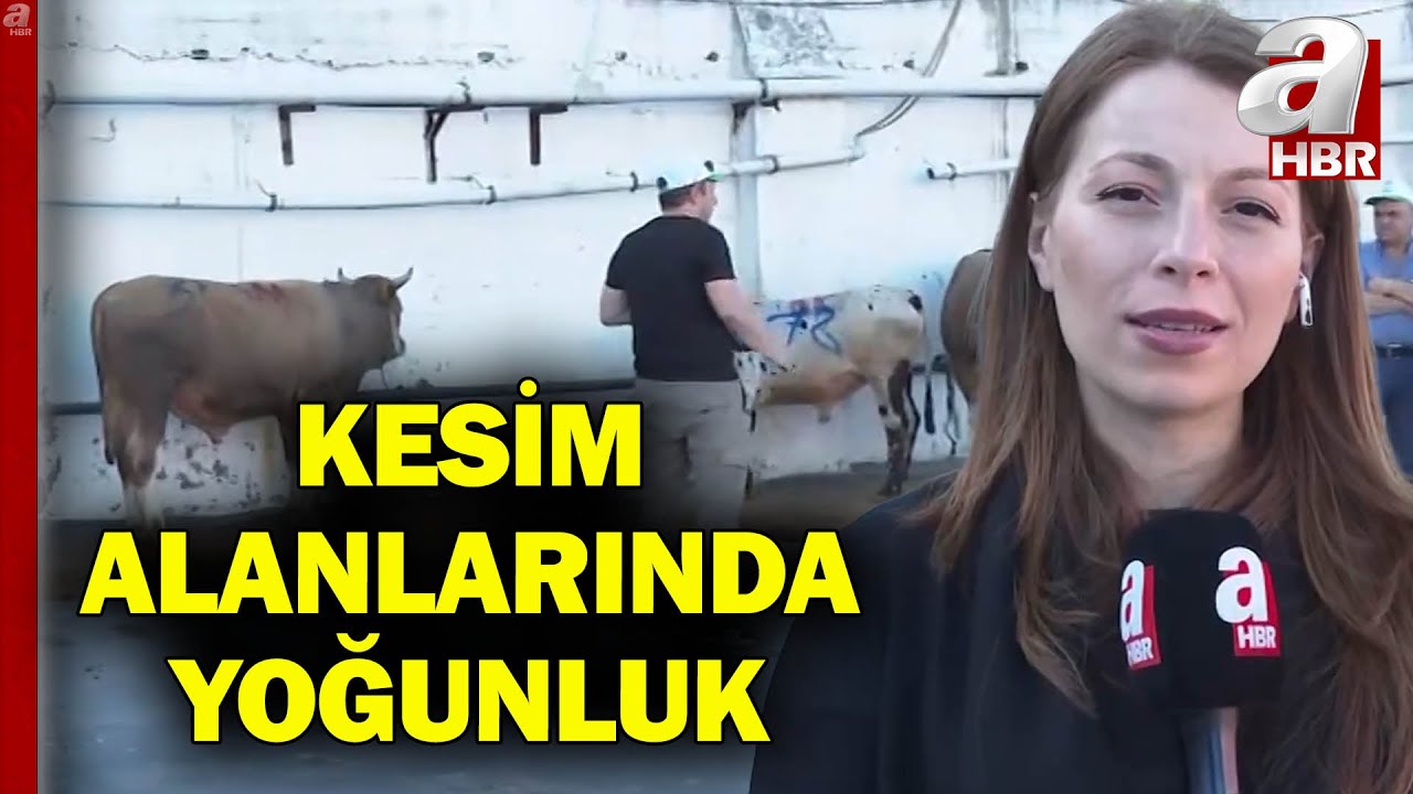 İstanbul'da Kurbanlar Kesilmeye Başlandı! Kesim Alanlarında Yoğunluk l A Haber