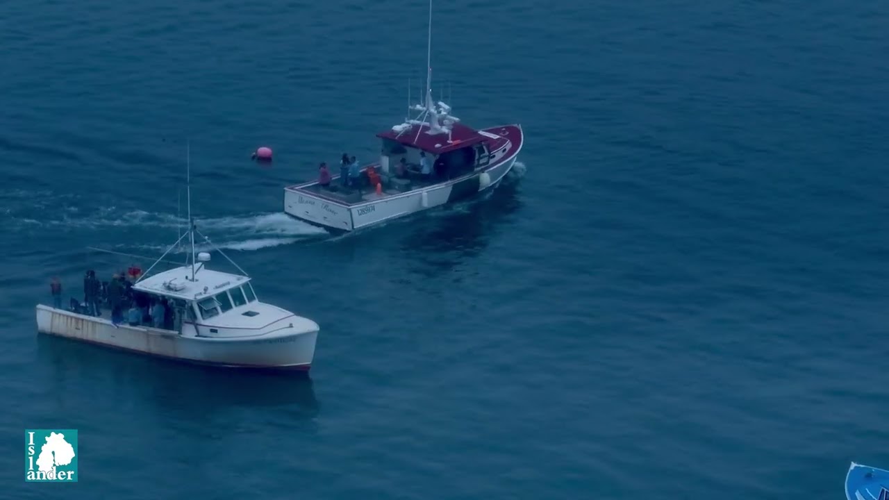 Sights & Sounds: 2025 Bass Harbor Lobster Boat Races