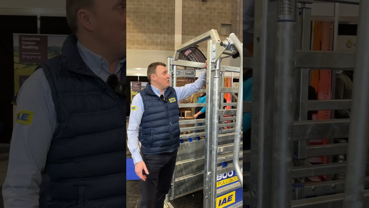 ⚡️ THE RATTLE TEST 😯 #IAE #CattleCrush #farm24 #backbritishfarming #farminguk