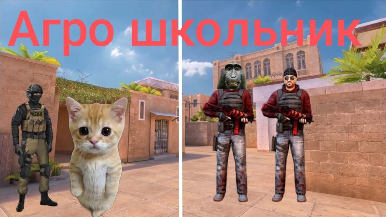 Попался против Агро школьника