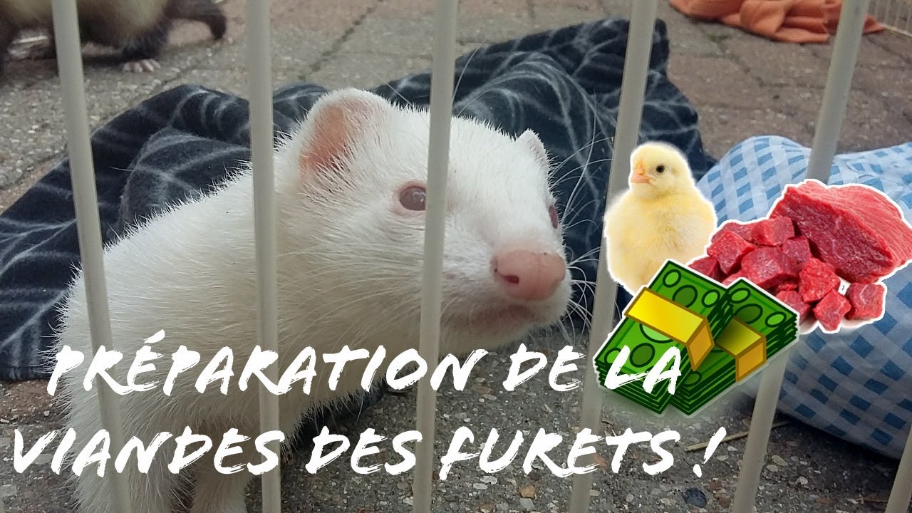 PRÉPARATION DE LA VIANDE DES FUFUS SPÉCIALE PROMO !