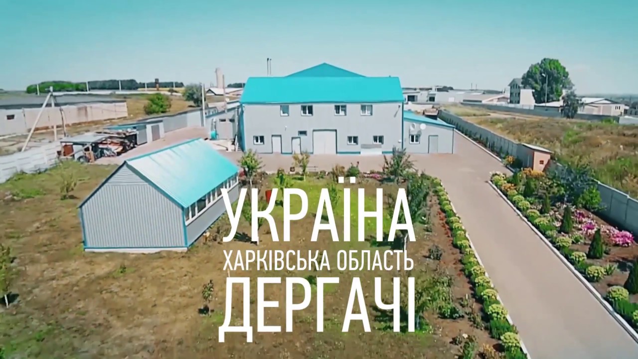 Сьогодення ТОВ 