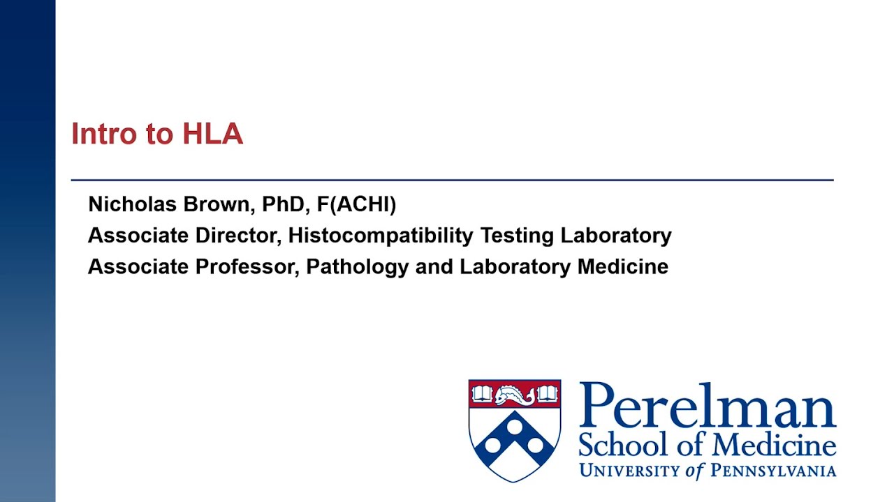 Introduction to Human Leukocytic Antigen (HLA) for Transplantation Research - Dr. Nicholas Brown