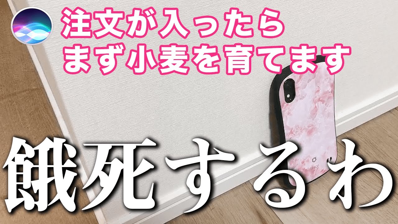 Siriがどうやらラーメン屋を始めたいらしいがwww