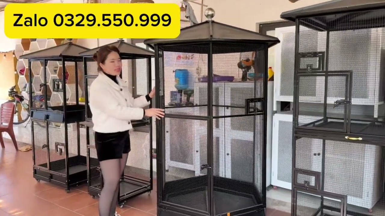 💥💥💥TRI ÂN ĐẦU XUÂN GIẢM GIÁ SẬP SÀN 5 MẪU AVI ĐẸP NHẤT RẺ NHẤT VÀ BÁN CHẠY NHẤT 2026