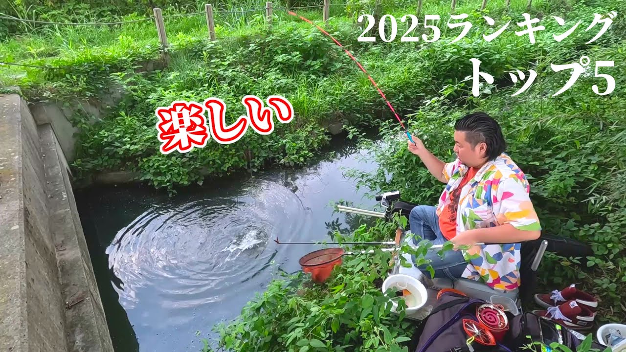 緑生い茂る用水路で原点の釣りを楽しむ【2025年再生数ランキングトップ5】